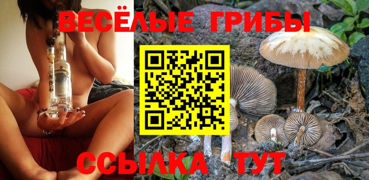 Зерноград  Псилоцибиновые грибы прущие грибы  Вход с VPN 
